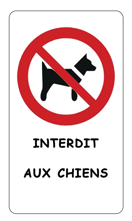 interdit aux chiens copie